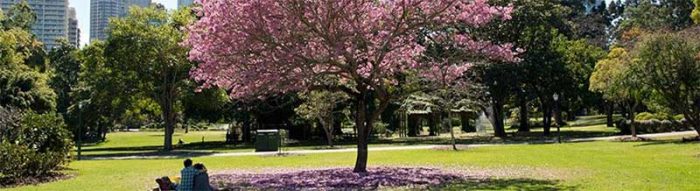 Picnic in the City Botanic Gardens