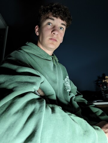 Goose, 18 Blue Mountains, New South Wales, Australia