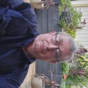 Lonehorseman From Jimboomba, Queensland